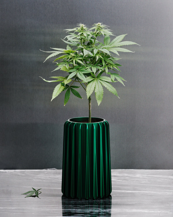 Wine Chiller / Vase