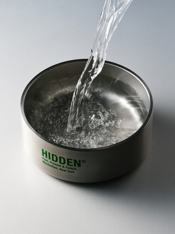 Dog Bowl