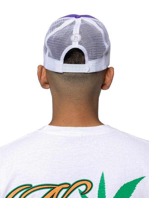 Hidden Minds Trucker