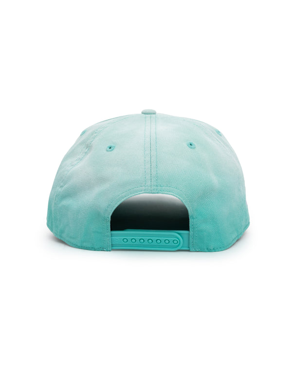 NY Yankees Sunfaded Hitch