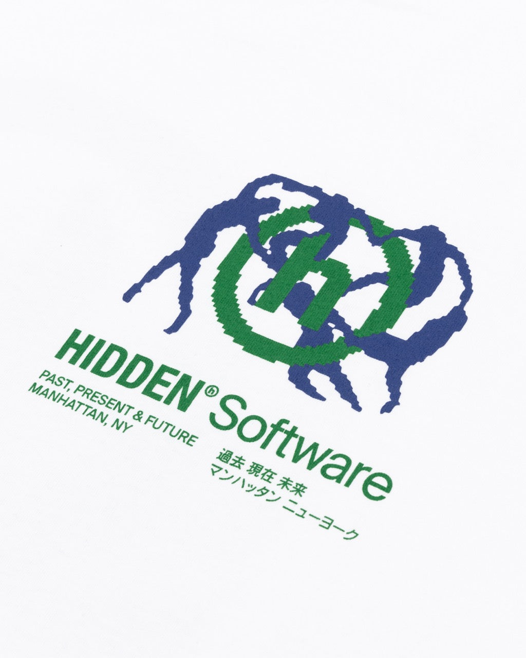 Content to image for Hidden Home Hazards: Uncovering and Fixing Undisclosed Problems